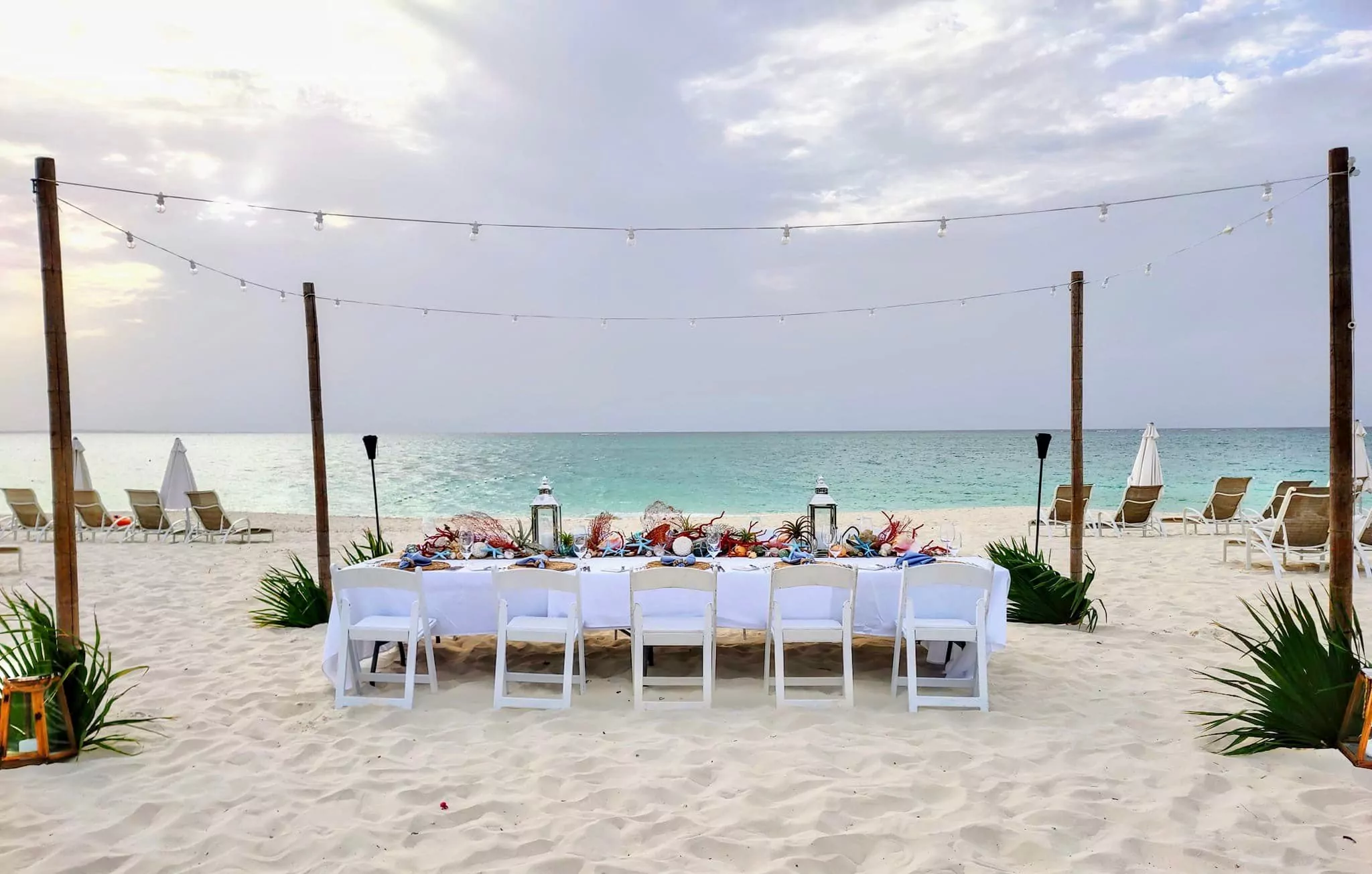 The Palms